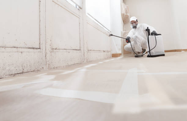 24/7 Emergency Mold Testing experts in Port Townsend, WA